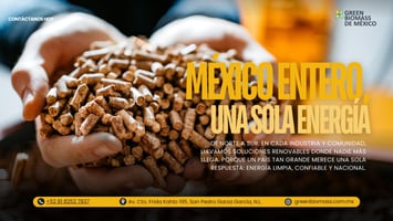 De norte a sur de México, Green Biomass lleva energía renovable y biomasa a cada industria y comunidad. Con cobertura nacional, calderas Vyncke de alta eficiencia y un suministro confiable, ofrecemos la solución energética limpia y sustentable que el país necesita.