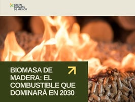 Biomasa de madera: el combustible que dominará en 2030. La creciente adopción de pellets y astillas está transformando la energía industrial hacia opciones más limpias, eficientes y sostenibles.