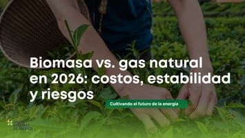La elección del combustible en 2026 impacta costos, estabilidad operativa y cumplimiento ambiental. Biomasa o gas natural: una decisión estratégica.