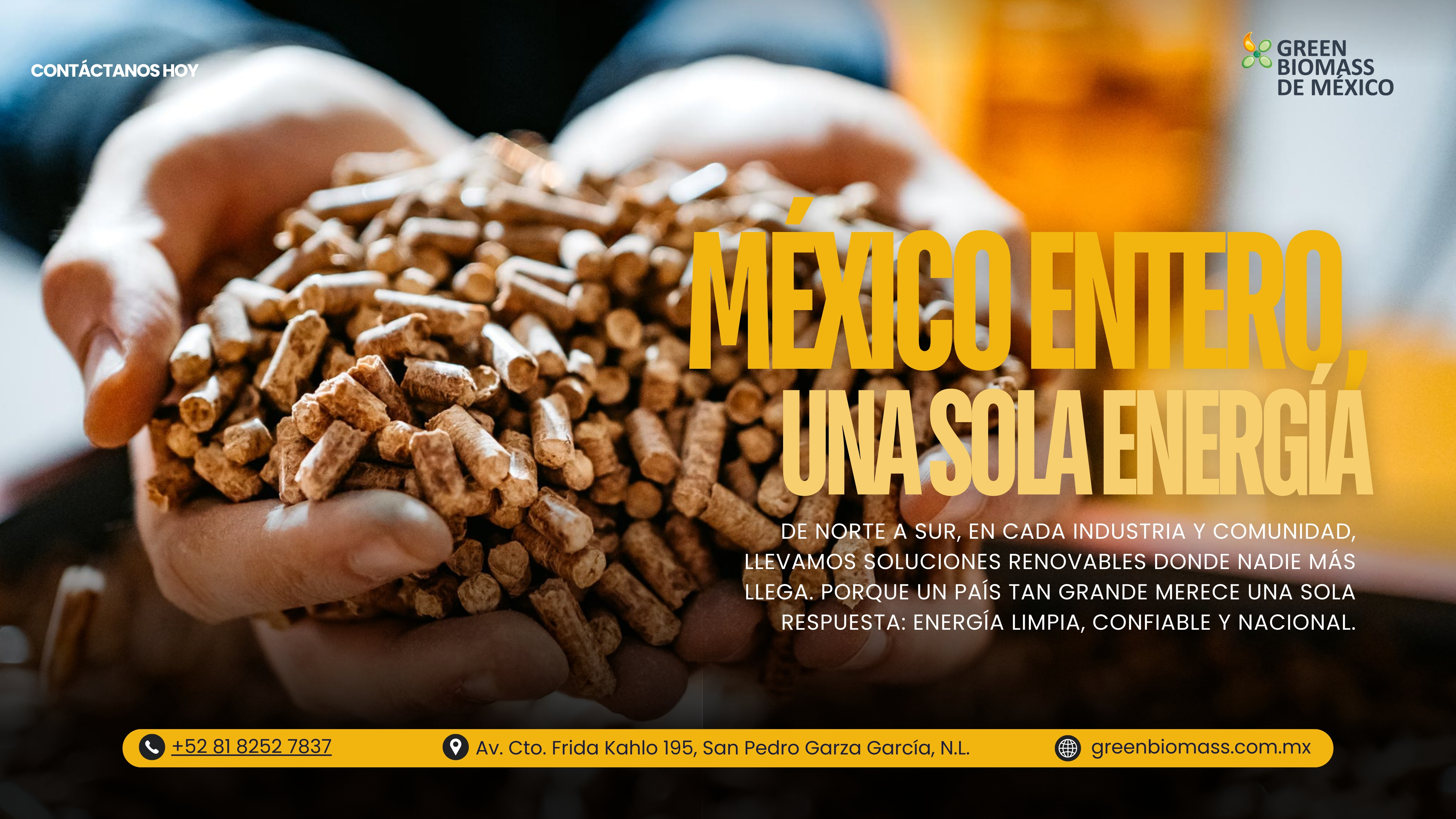 De norte a sur de México, Green Biomass lleva energía renovable y biomasa a cada industria y comunidad. Con cobertura nacional, calderas Vyncke de alta eficiencia y un suministro confiable, ofrecemos la solución energética limpia y sustentable que el país necesita.