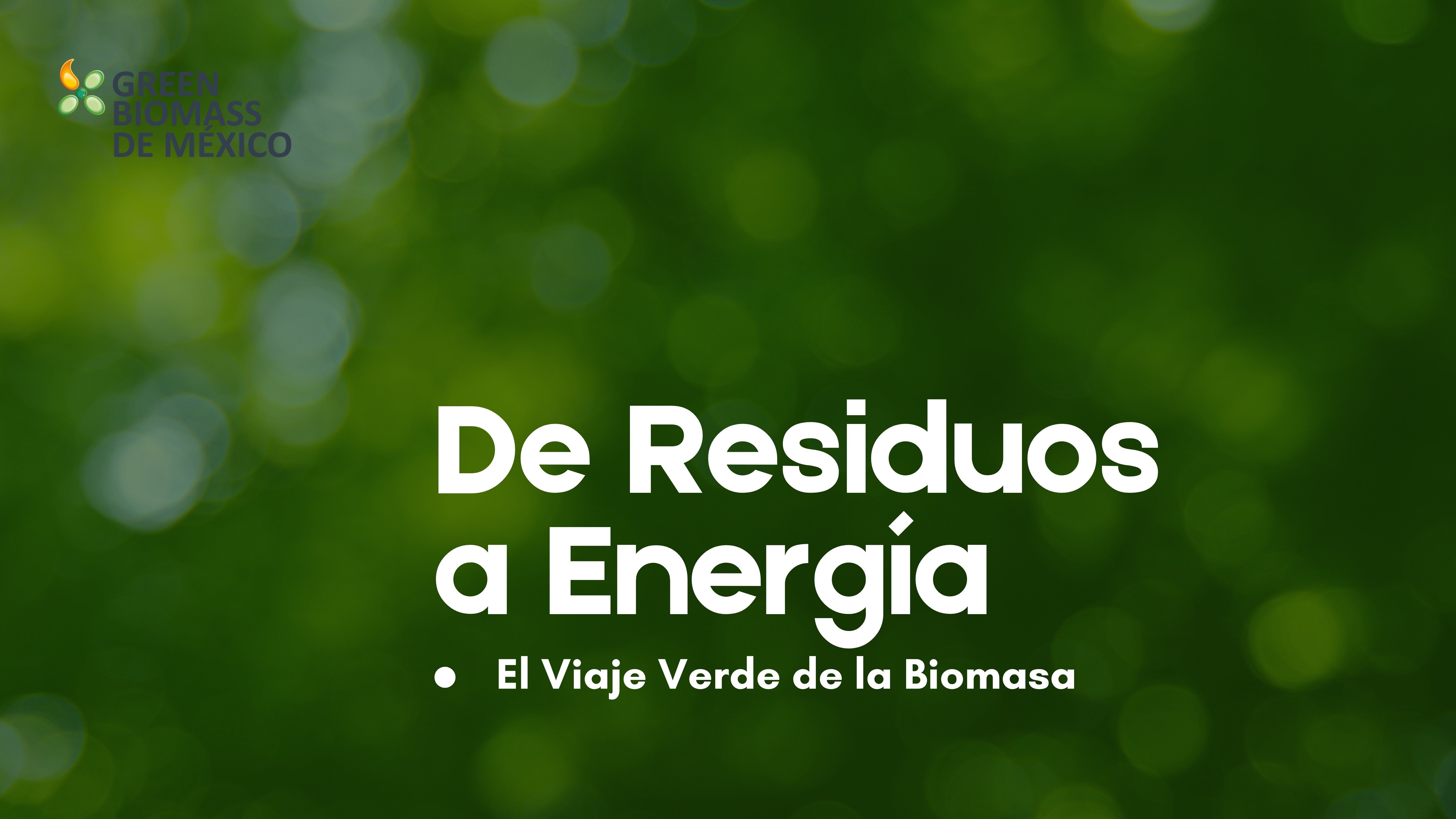 Green Biomass México te muestra cómo aprovechar residuos, reducir emisiones y generar eficiencia energética en tu empresa.