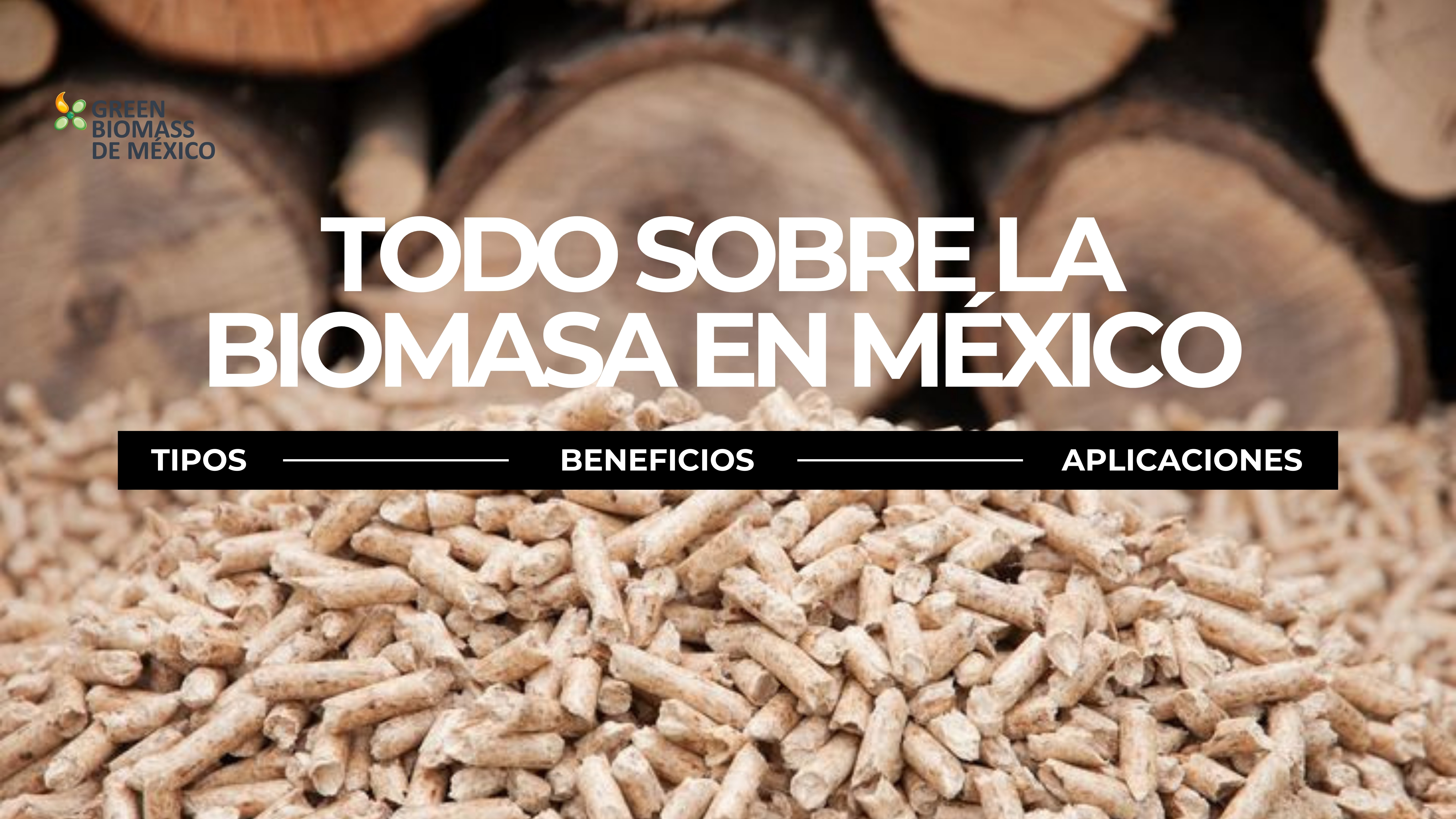 Conoce con Green Biomass la guía definitiva de la biomasa en México: qué es, tipos, beneficios y aplicaciones industriales