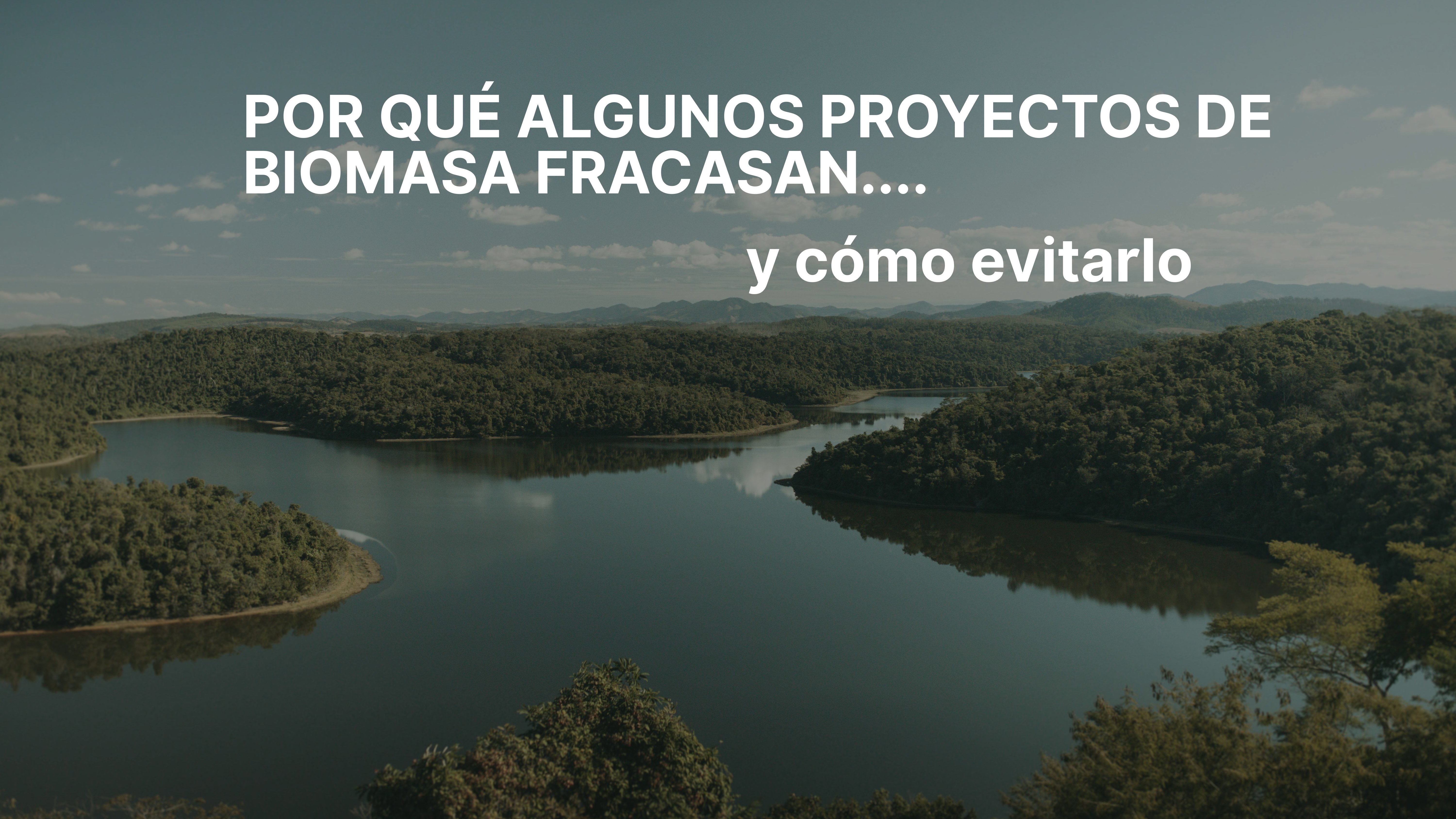 Proyectos de biomasa: causas del fracaso y cómo evitarlas