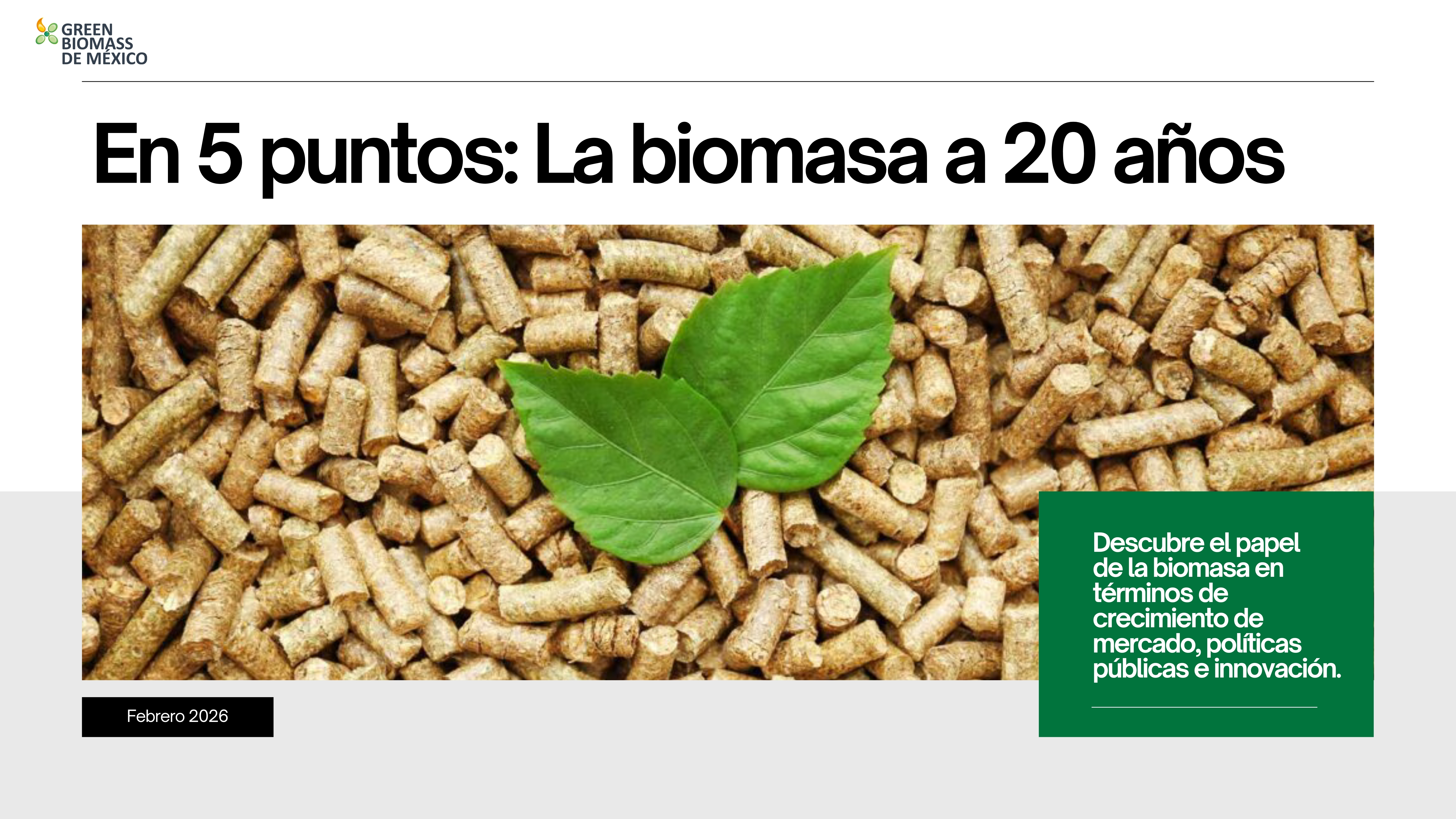 Residuos agrícolas, forestales e industriales: la biomasa ya impulsa la energía renovable y su crecimiento será decisivo hacia 2046.