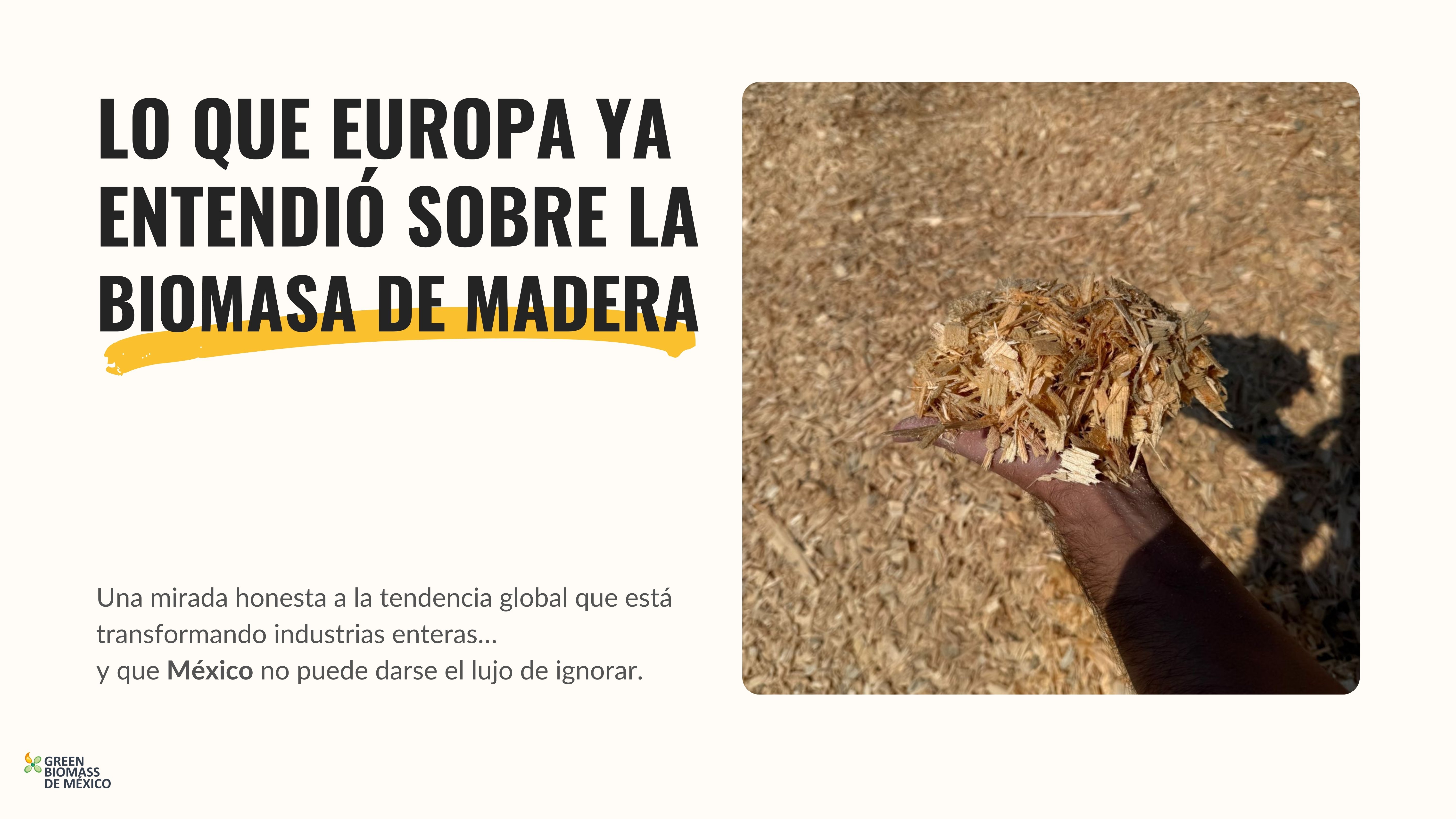 Europa adoptó la biomasa de madera como energía renovable desde hace décadas: un ejemplo clave para la transición energética en México.