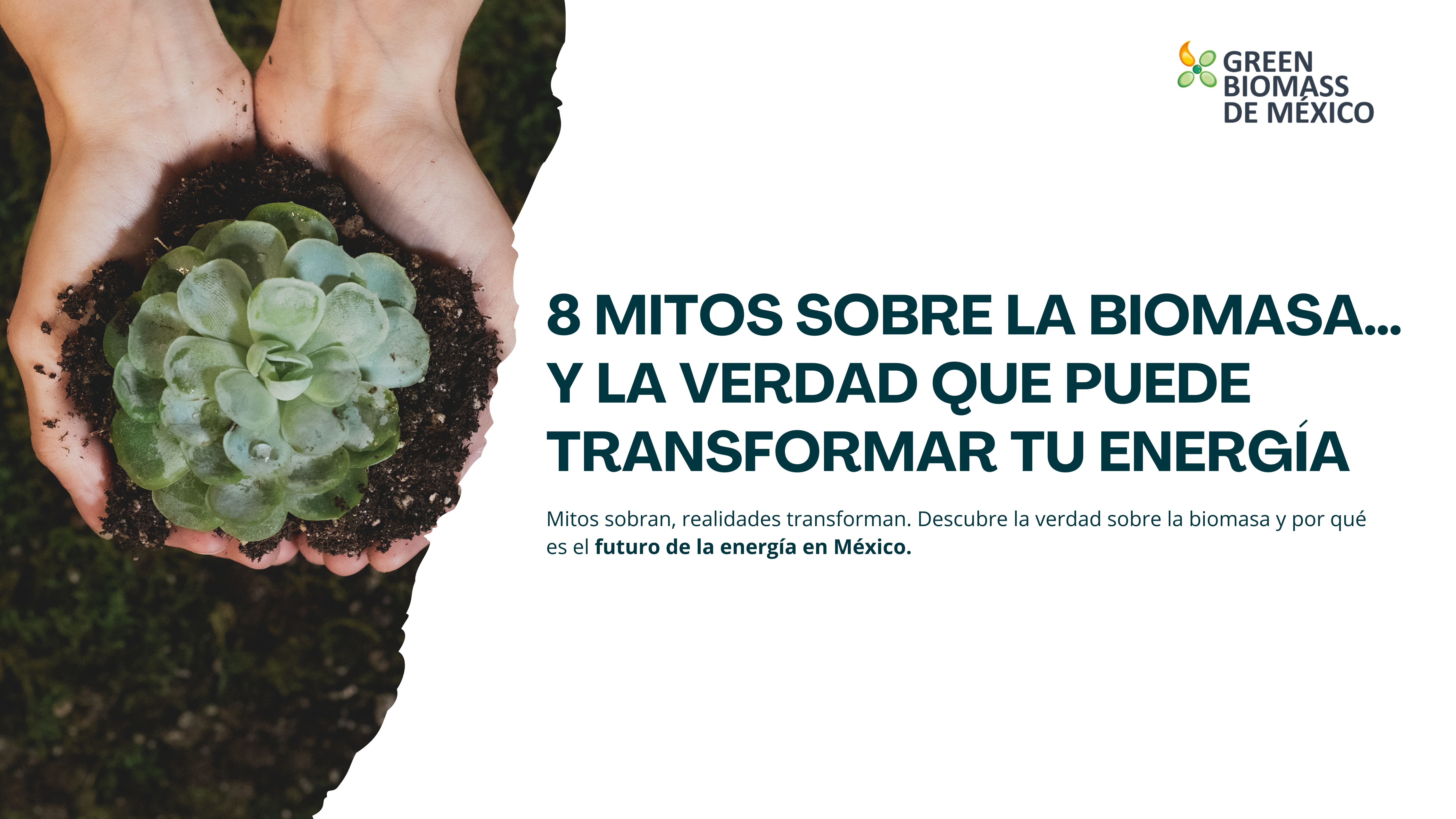 Desmitifica los 8 mitos más comunes sobre la biomasa y descubre la verdad sobre esta energía sostenible. Aprende cómo la biomasa puede transformar tu empresa, reducir costos y contribuir al cuidado del medio ambiente.